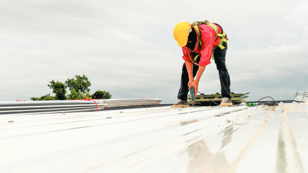 Best Sheet Metal Roofing  in Fanning Springs, FL