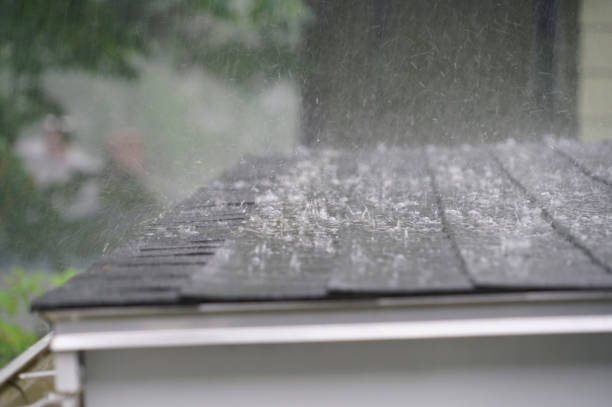 Best Skylight Installation and Repair  in Fanning Springs, FL