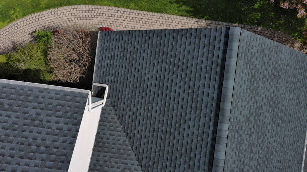 Best Steel Roofing  in Fanning Springs, FL