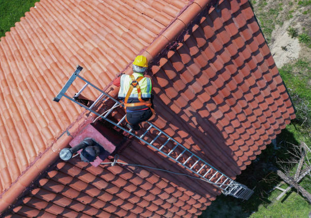 Best Asphalt Shingles Roofing  in Fanning Springs, FL